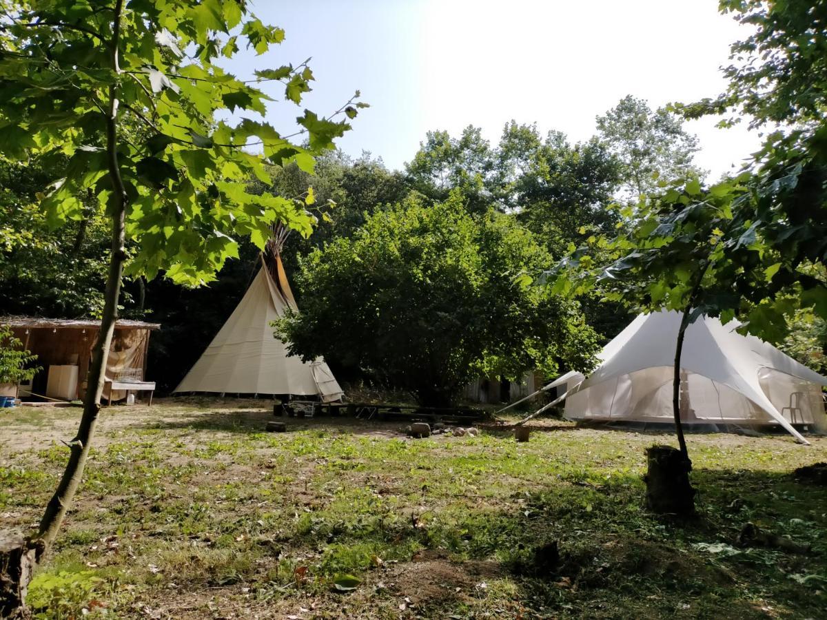 Albergue Del Oso Tierraluz Arbúcies Exteriér fotografie