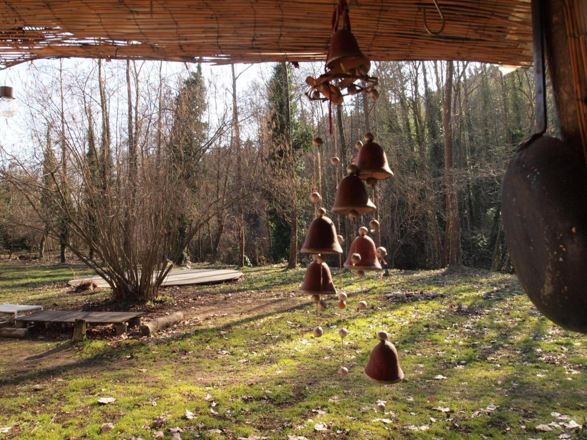 Albergue Del Oso Tierraluz Arbúcies Exteriér fotografie